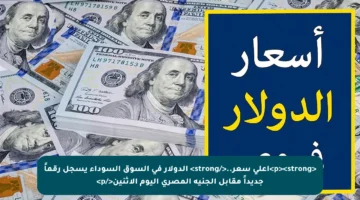 <p><strong>أعلى سعر..</strong> الدولار في السوق السوداء يسجل رقماً جديداً مقابل الجنيه المصري اليوم الاثنين</p>